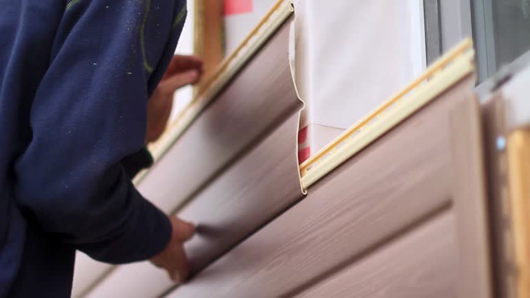 Best Moving and Downsizing Cleanouts  in Shelbyville, KY